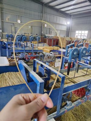Đặc điểm khu vực Cây gậy tre hương Ấn Độ cho sản xuất Agarbatti trực tiếp từ các nhà sản xuất